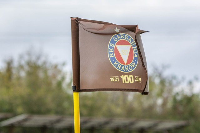 现出了非凡 现出了非凡