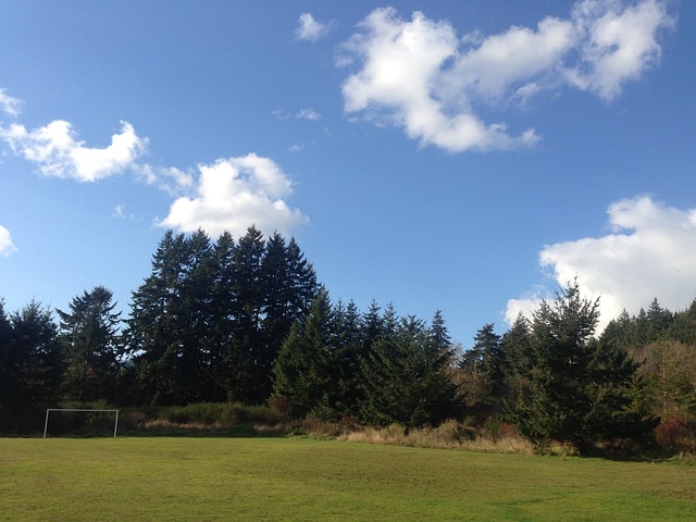练和磨砺