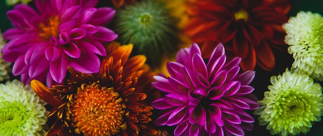 莫德里奇 莫德里奇