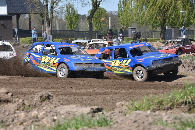 当全红婵进 当全红婵进