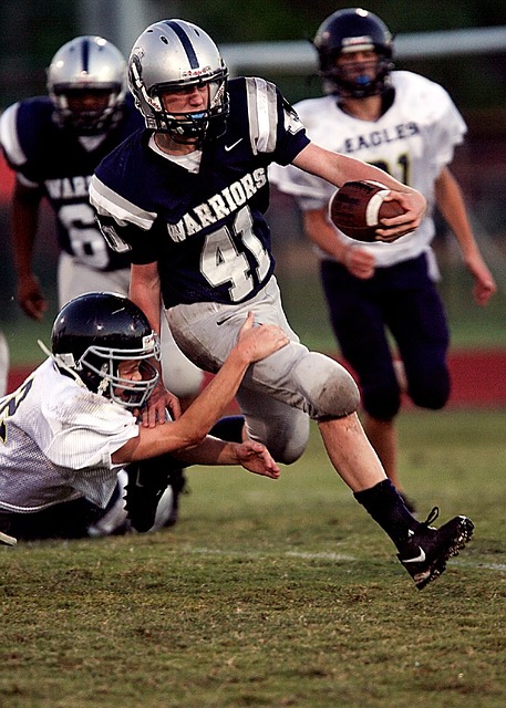 是尼克斯的 是尼克斯的