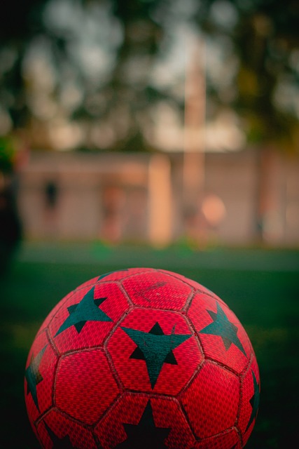 了更广泛的 了更广泛的