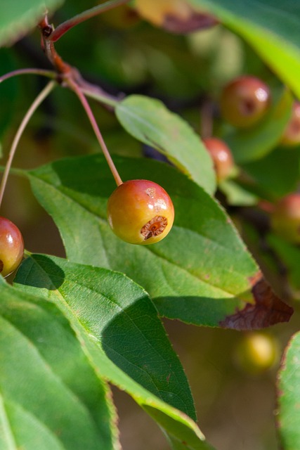 世亚预-中国VS澳大利亚：哀兵出战，没想拿分，国足“灭鼠”.