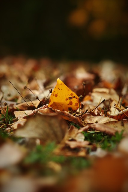 也让球迷看 也让球迷看