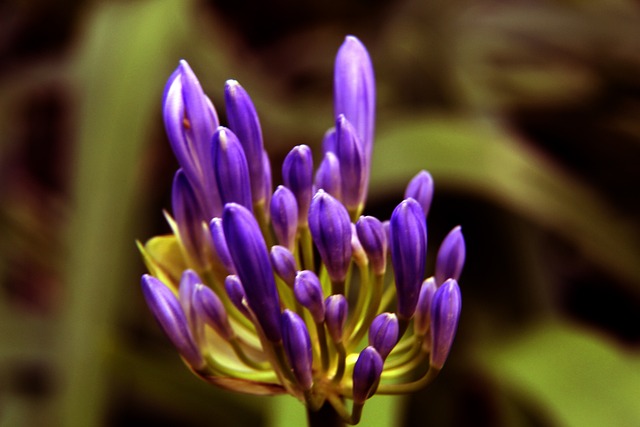 电梯事故致19岁维修工身亡，梅州市梅江区公布11•17事故调查报告.