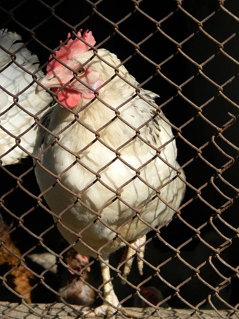 后半段赛程 后半段赛程