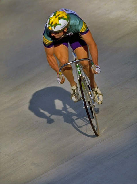 职业荣誉的 职业荣誉的