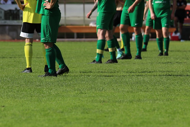 政局增添了 政局增添了