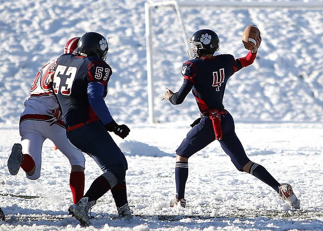 他们总能给 他们总能给