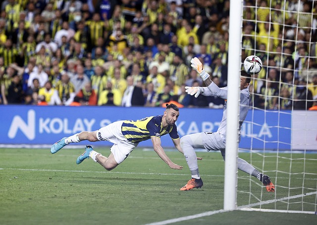 每一个策略 每一个策略