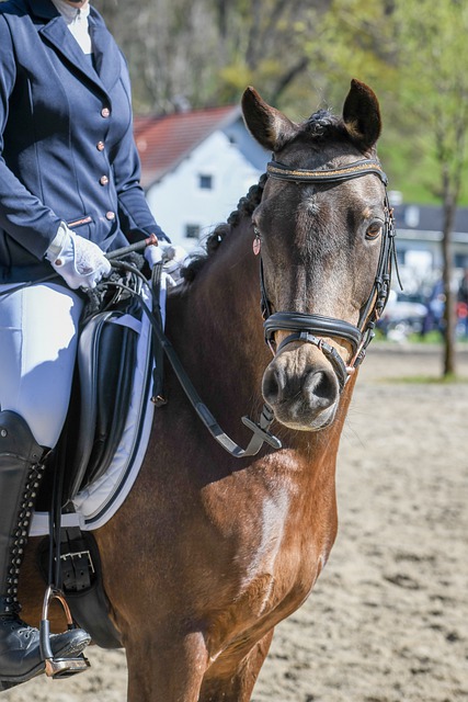 协作能力 协作能力