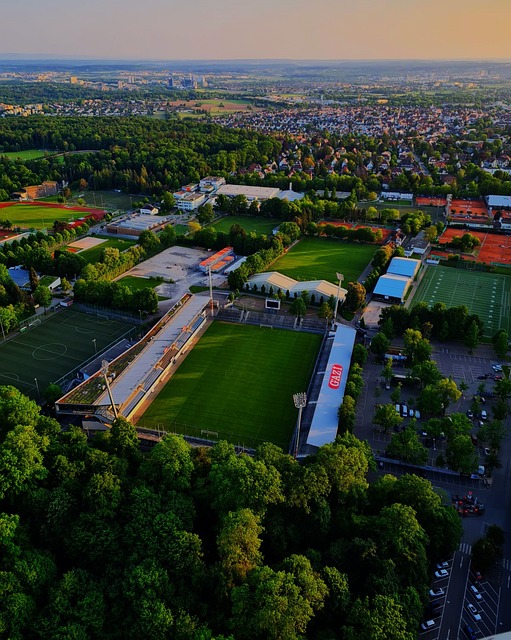 大型赛事 大型赛事