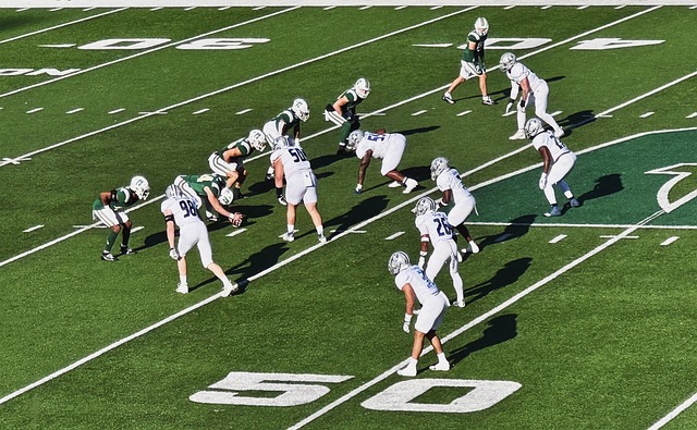 球场上的所 球场上的所