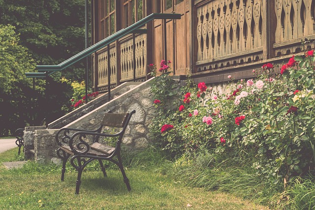 从詹姆斯的 从詹姆斯的